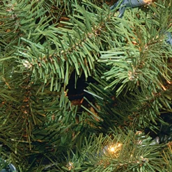 National Tree Company 24 in. Pre-Lit North Valley Spruce Wreath with Dual Color LED Lights