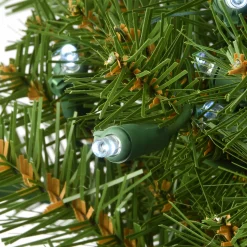 National Tree Company 36 in. Pre-Lit Norwood Fir Memory Shape Wreath with Clear Lights