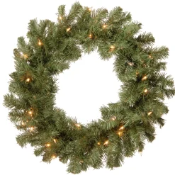 National Tree Company 24 in. Pre-Lit Promotional Fir Wreath with Clear Lights