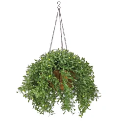 National Tree Company 18 in. Spring Argentea Hanging Plant with Yellow Flowers