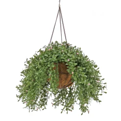 National Tree Company 18 in. Spring Argentea Hanging Plant with Pink Flowers