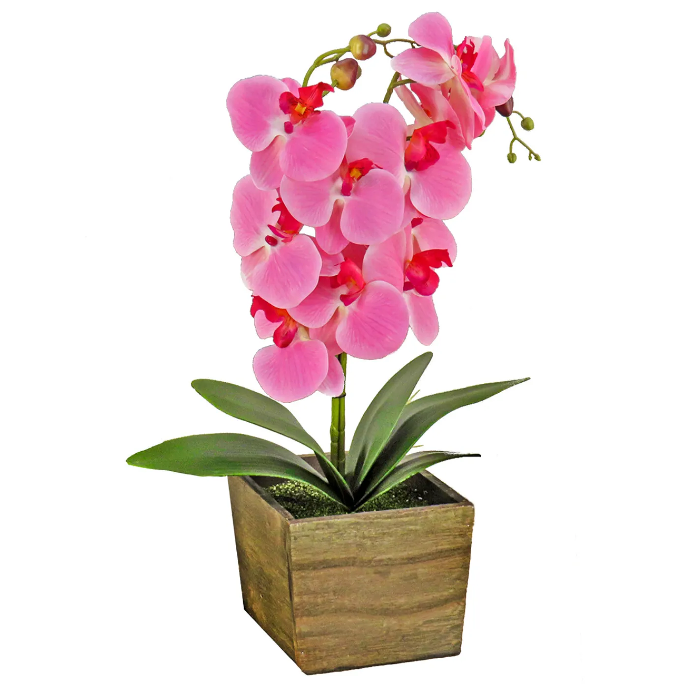 National Tree Company 21 in. Spring Pink Orchid Flower in Wood Box