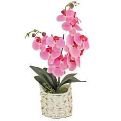 National Tree Company 21 in. Spring Pink Orchid in White Basket