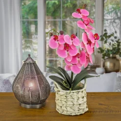 National Tree Company 21 in. Spring Pink Orchid in White Basket