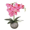 National Tree Company 21 in. Spring Pink Orchid in Silver Smooth Ceramic Pot