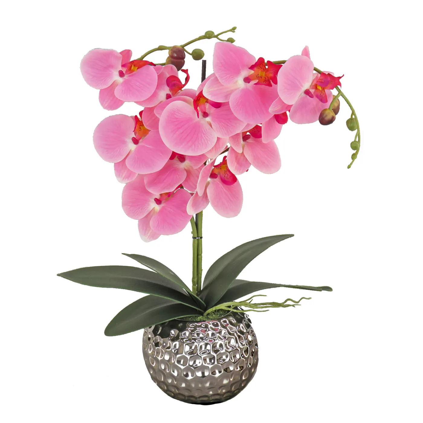 National Tree Company 21 in. Spring Pink Orchid in Silver Smooth Ceramic Pot