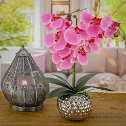 National Tree Company 21 in. Spring Pink Orchid in Silver Smooth Ceramic Pot