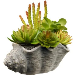 National Tree Company 11 in. Spring Potted Plant with Various Green and Orange Succulents in a Stylish Conch Shell Cement Pot