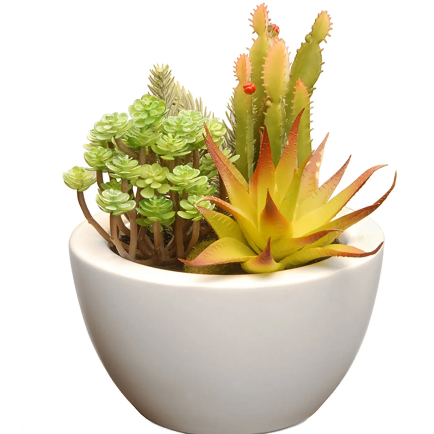 National Tree Company 8 in. Spring Potted Plant with Various Green Succulents in a Stylish White Ceramic Base
