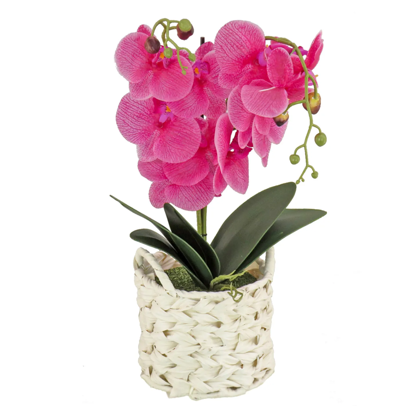 National Tree Company 21 in. Spring Purple Orchid in White Basket