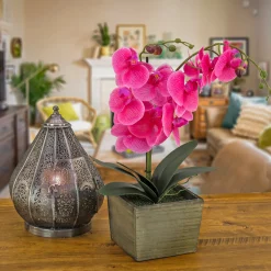 National Tree Company 21 in. Spring Purple Orchid Flower in Wood Box