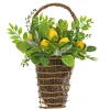 National Tree Company 21 in. Spring Wall Hanging Basket with Lemons, Seed Pods, Leafy Greens