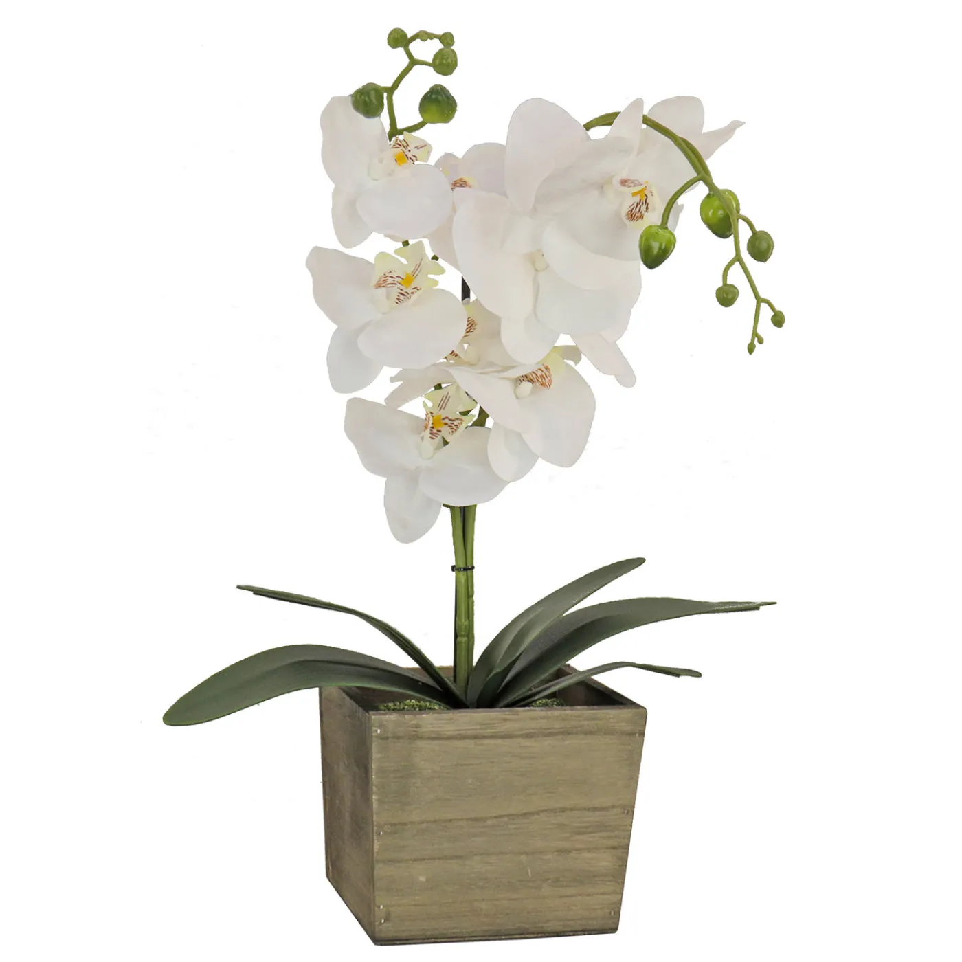 National Tree Company 21 in. Spring White Orchid Flower in Wood Box