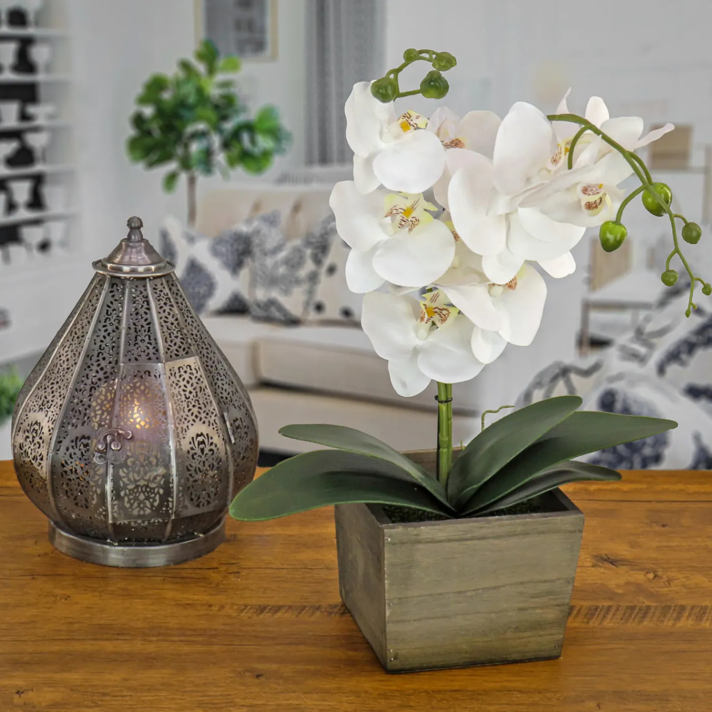 National Tree Company 21 in. Spring White Orchid Flower in Wood Box