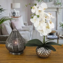 National Tree Company 21 in. Spring White Orchid in Silver Smooth Ceramic Pot