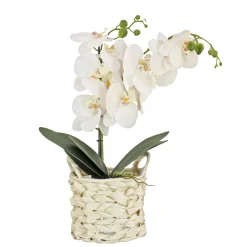 National Tree Company 21 in. Spring White Orchid in White Basket