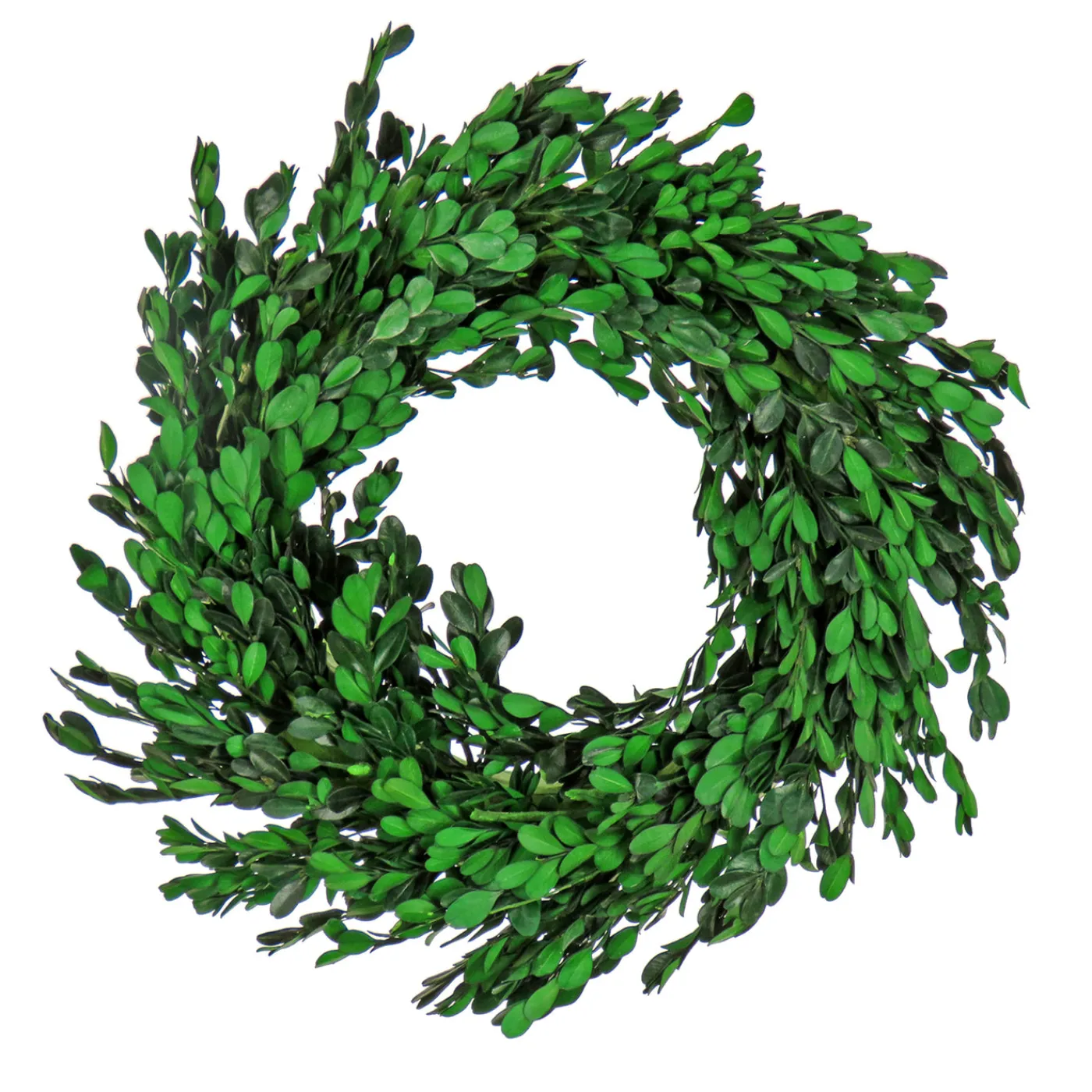 National Tree Company 18 in. Spring Wreath with Boxwood Flowers, Flowing Green Stems