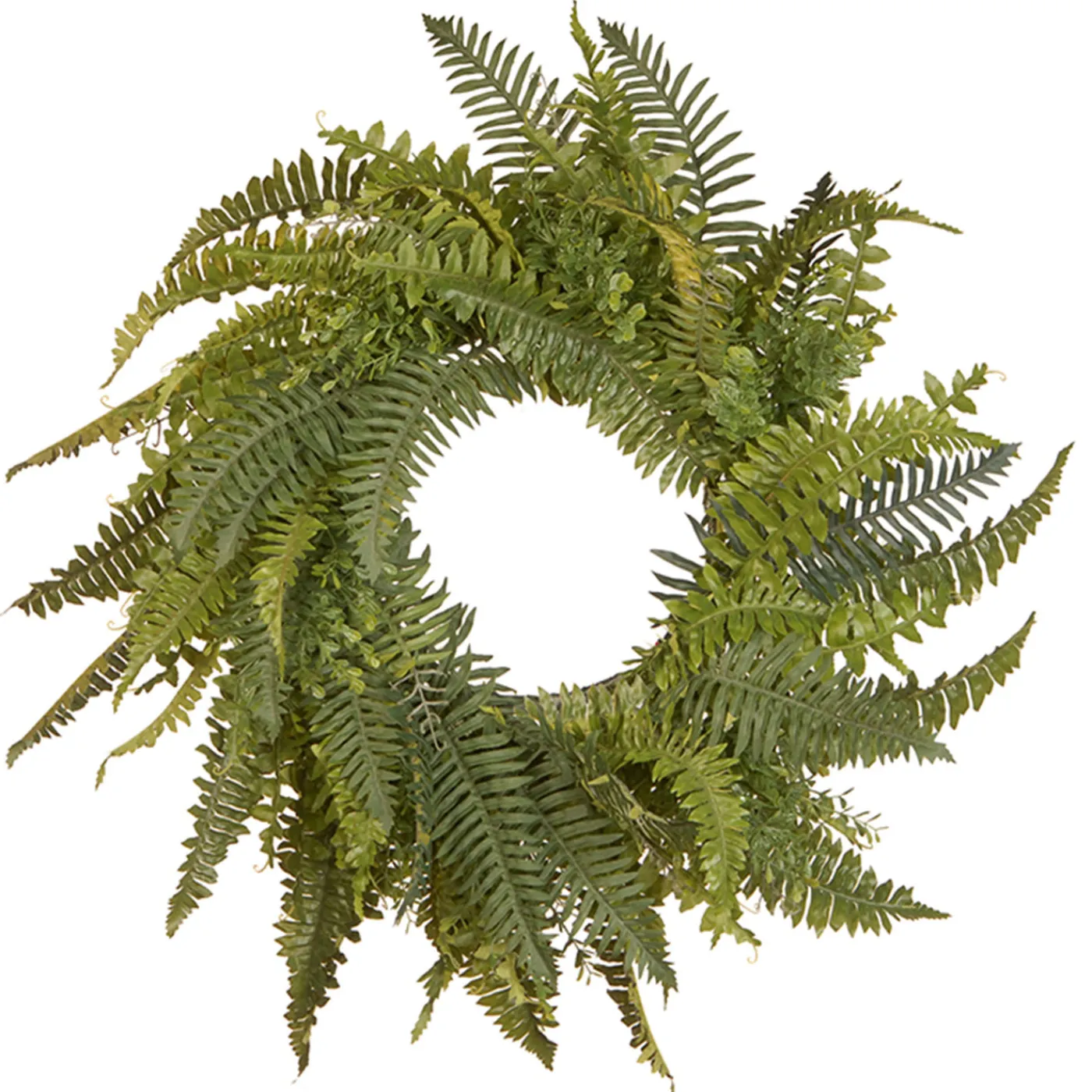 National Tree Company 36 in. Spring Wreath with Fern Leaves and Flowing Green Stems