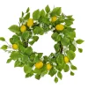 National Tree Company 22 in. Spring Wreath with Lemons, Flower Blooms, Leafy Greens