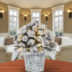 National Tree Company 22 in.Pre-Lit Snowy Chiwaw Basin Tree with LED Lights