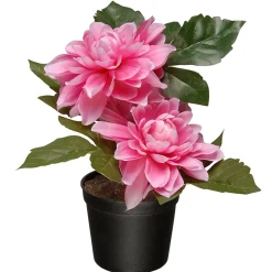 National Tree Company Artificial Potted Flowers, Pink Dahlias, Includes Black Pot Base, Spring Collection, 7 Inches