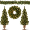 National Tree Company Pre-Lit Evergreen Assortment Set of 2 Entrance Trees, 1 Wreath, 1 Garland