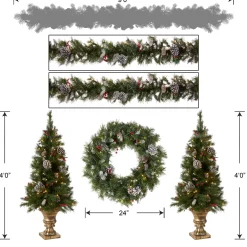 National Tree Company Pre-Lit Frosted Berry Assortment with 2 Entrance Trees, 1 Wreath, 2 Garland