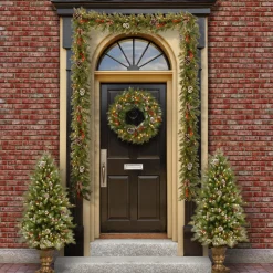 National Tree Company Pre-Lit Frosted Berry Assortment with 2 Entrance Trees, 1 Wreath, 2 Garland