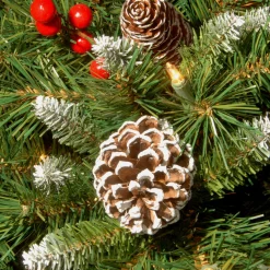 National Tree Company Pre-Lit Frosted Berry Assortment with 2 Entrance Trees, 1 Wreath, 2 Garland