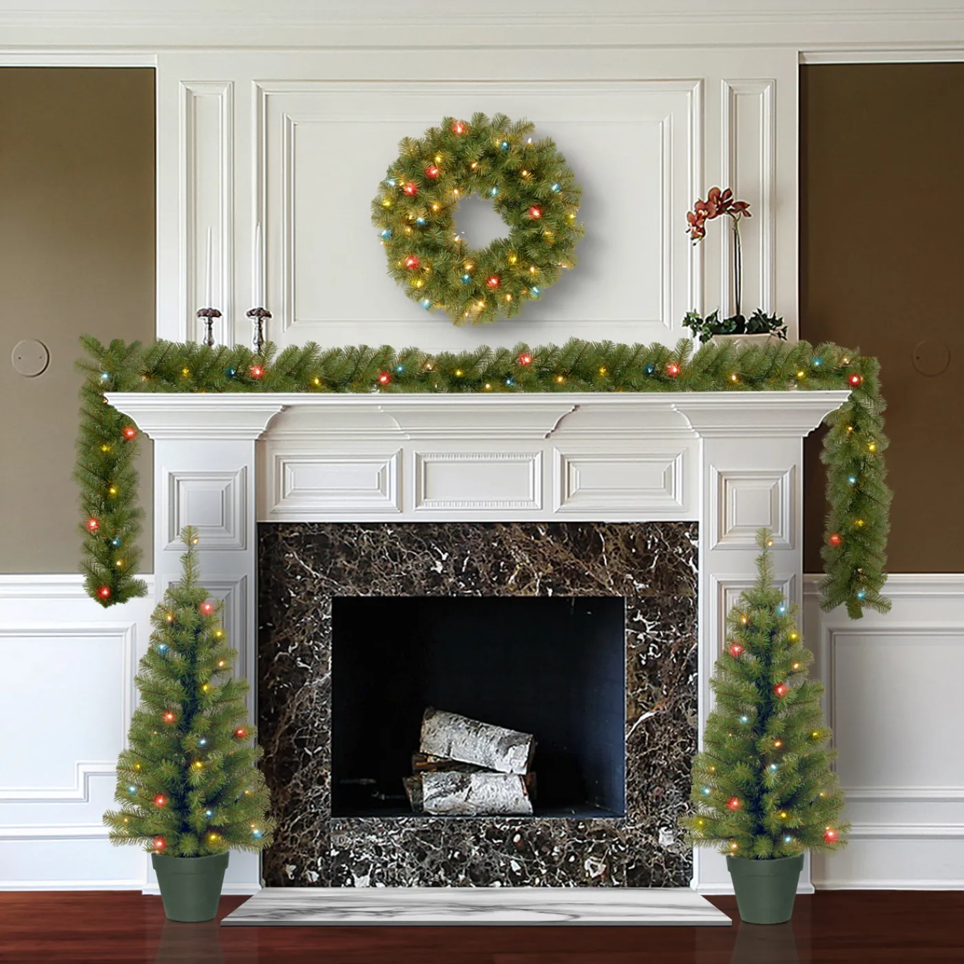 National Tree Company Pre-Lit Promotional Green Assortment Set of 2 Entrance Trees, 1 Wreath, 1 Garland