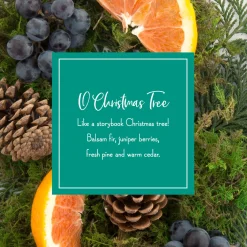 National Tree Company Scented Ornaments, 2- Pack- 6ct Bottle, O Christmas Tree, Fragrance-Infused Paper Sticks