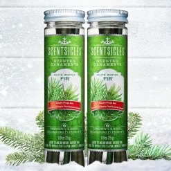 National Tree Company Scented Ornaments, 2 Pack- 6ct Bottle, White Winter Fir, Fragrance-Infused Paper Sticks
