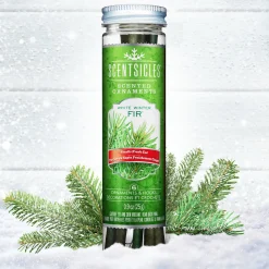 National Tree Company Scented Ornaments, 2 Pack- 6ct Bottle, White Winter Fir, Fragrance-Infused Paper Sticks