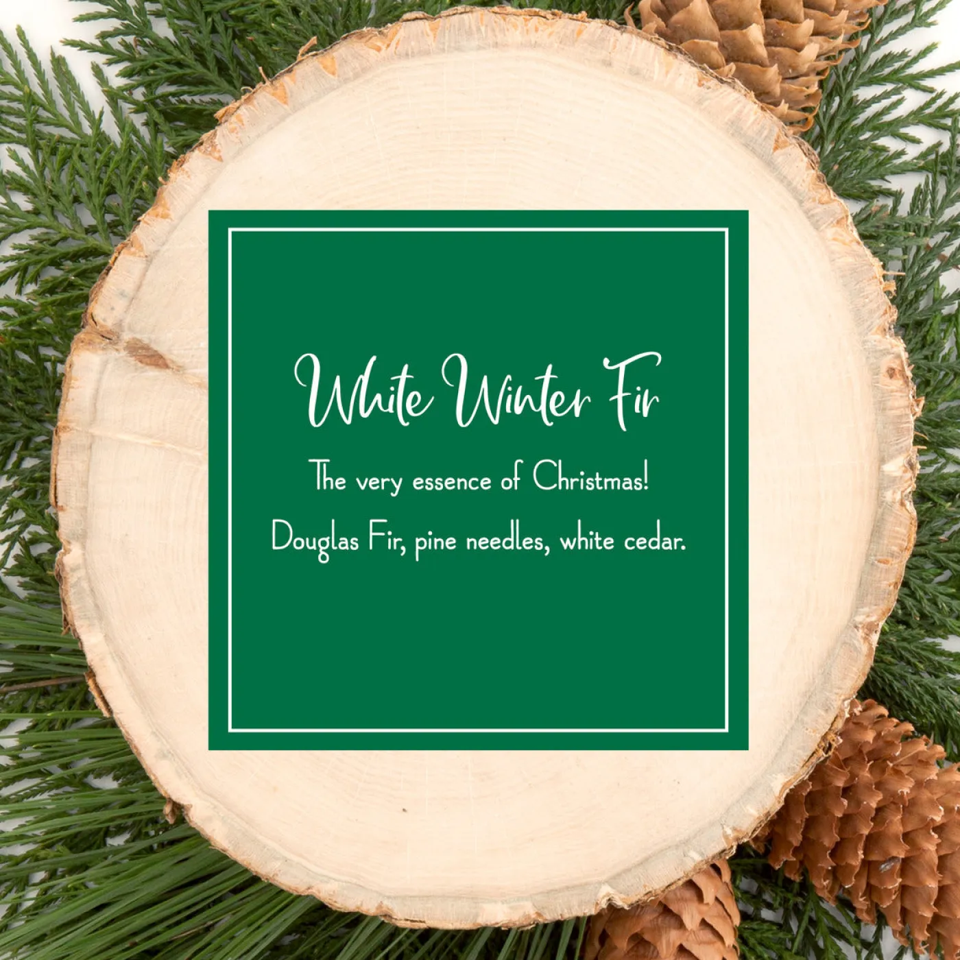 National Tree Company Scented Ornaments, 2 Pack- 6ct Bottle, White Winter Fir, Fragrance-Infused Paper Sticks