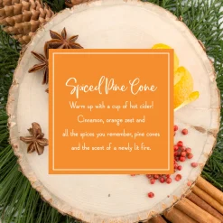 National Tree Company Scented Ornaments, 2-Pack- 6ct Bottle, Spiced Pine Cones, Fragrance-Infused Paper Sticks