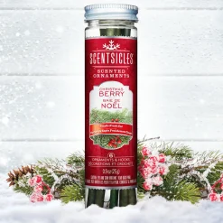 National Tree Company Scented Ornaments, 2-Pack- 6ct Bottle, Christmas Berry, Fragrance-Infused Paper Sticks