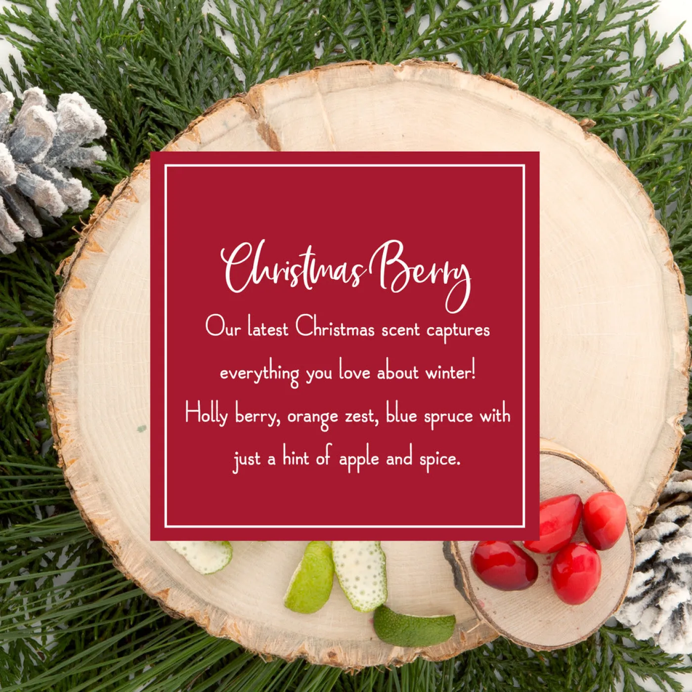 National Tree Company Scented Ornaments, 2-Pack- 6ct Bottle, Christmas Berry, Fragrance-Infused Paper Sticks
