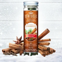 National Tree Company Scented Ornaments, 2-Pack- 6ct Bottle, 2 Dashes of Cinnamon, Fragrance-Infused Paper Sticks