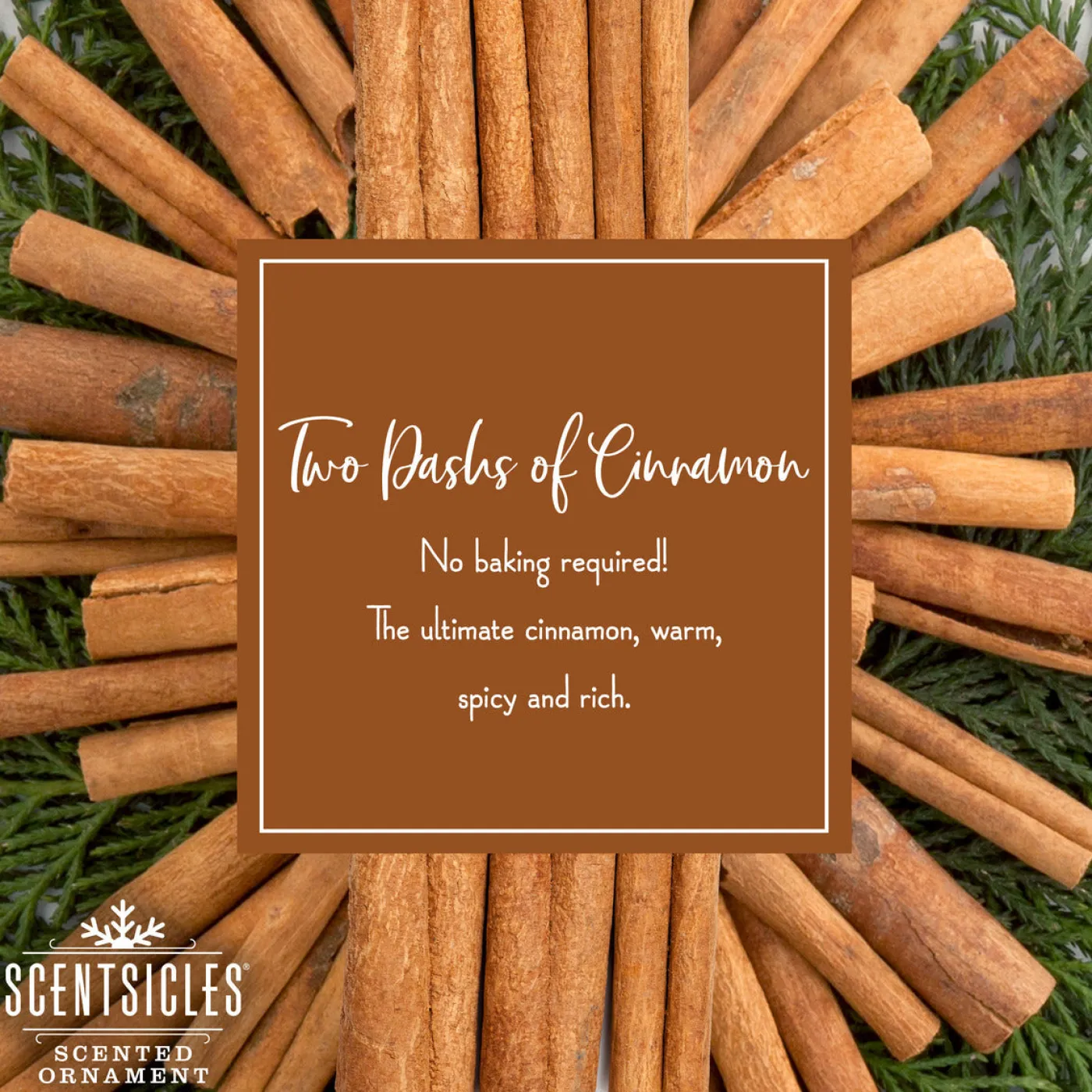 National Tree Company Scented Ornaments, 2-Pack- 6ct Bottle, 2 Dashes of Cinnamon, Fragrance-Infused Paper Sticks