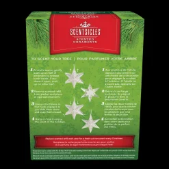 National Tree Company Scentsicles Decorative Ornament, Metal White Star, White Winter Fir with Refill
