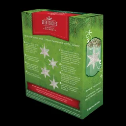 National Tree Company Scentsicles Decorative Ornament, Metal White Star, White Winter Fir with Refill