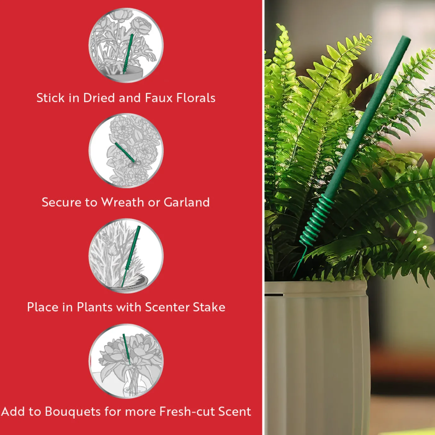 National Tree Company Scentsicles, 6pc Stick, 1 Sun-Soaked Lavender/1 Into the Vanilla Woods- 2 pack