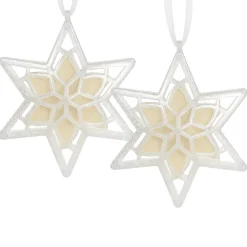 National Tree Company Scentsicles, Scented Star Ornament, White Winter Fir, 2-Pack