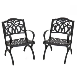 National Tree Company 24x26x36 in. Leeds Aluminum Circle All Weather Chairs, Set of 2, Leeds Collection